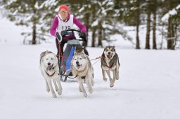 Kandersteg 2014 WM