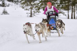 Kandersteg 2014 WM