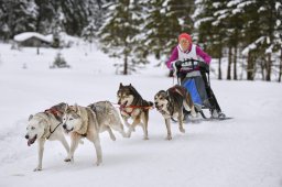 Kandersteg 2014 WM