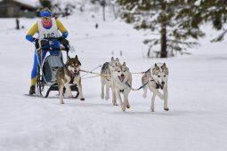 Kandersteg 2014 WM