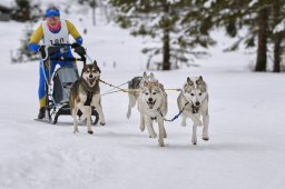 Kandersteg 2014 WM