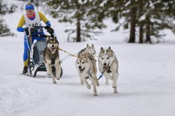Kandersteg 2014 WM