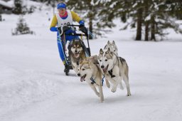 Kandersteg 2014 WM