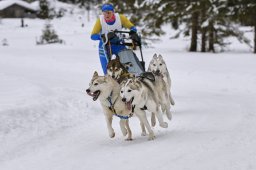 Kandersteg 2014 WM