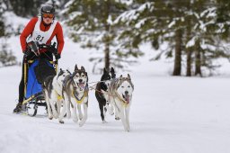 Kandersteg 2014 WM