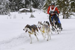 Kandersteg 2014 WM