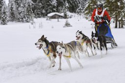 Kandersteg 2014 WM
