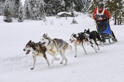 Kandersteg 2014 WM