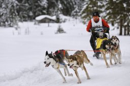 Kandersteg 2014 WM
