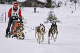 Kandersteg 2014 WM