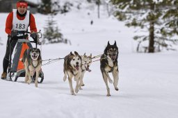 Kandersteg 2014 WM