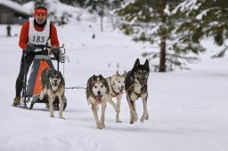 Kandersteg 2014 WM