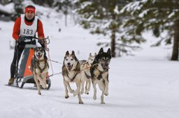 Kandersteg 2014 WM