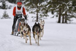 Kandersteg 2014 WM