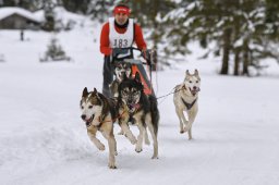 Kandersteg 2014 WM