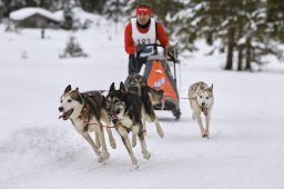 Kandersteg 2014 WM