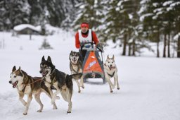 Kandersteg 2014 WM