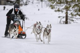 Kandersteg 2014 WM