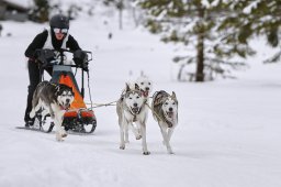 Kandersteg 2014 WM