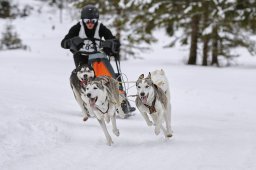 Kandersteg 2014 WM