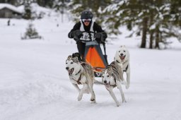Kandersteg 2014 WM