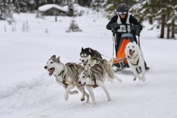 Kandersteg 2014 WM
