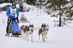 Kandersteg 2014 WM