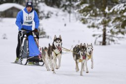 Kandersteg 2014 WM