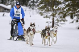 Kandersteg 2014 WM