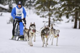 Kandersteg 2014 WM