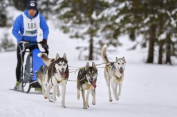 Kandersteg 2014 WM