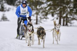 Kandersteg 2014 WM