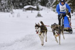 Kandersteg 2014 WM