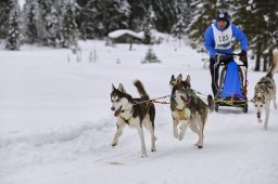 Kandersteg 2014 WM