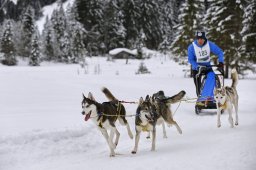 Kandersteg 2014 WM