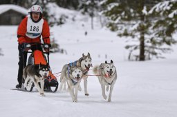 Kandersteg 2014 WM