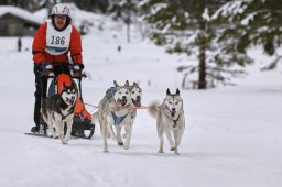 Kandersteg 2014 WM