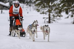 Kandersteg 2014 WM