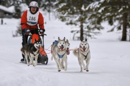 Kandersteg 2014 WM