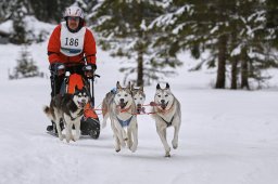 Kandersteg 2014 WM