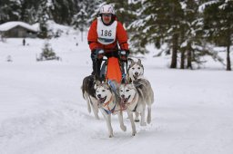 Kandersteg 2014 WM