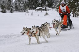 Kandersteg 2014 WM