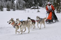 Kandersteg 2014 WM
