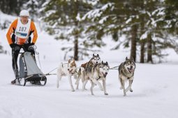 Kandersteg 2014 WM