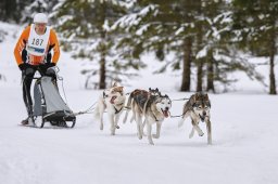 Kandersteg 2014 WM