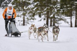 Kandersteg 2014 WM