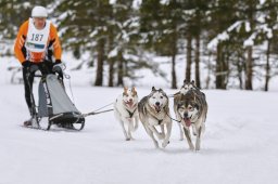 Kandersteg 2014 WM