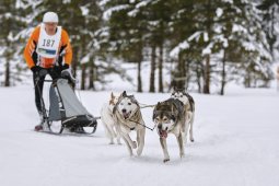 Kandersteg 2014 WM