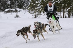 Kandersteg 2014 WM