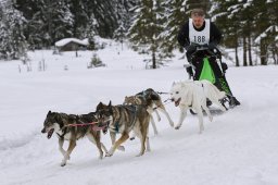 Kandersteg 2014 WM